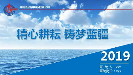 中海油_中石油_中石化_个人简历_个人汇报