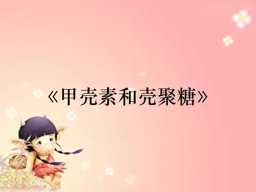 《甲壳素和壳聚糖》