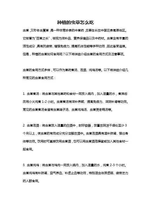 种植的虫草怎么吃