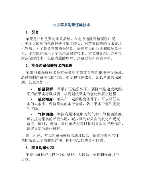 北方苹果沟藏保鲜技术