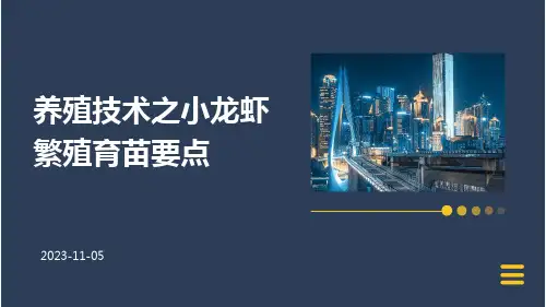 养殖技术之小龙虾繁殖育苗要点