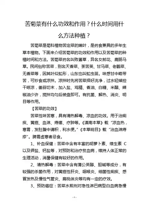 苦菊菜有什么功效和作用？什么时间用什么方法种植？
