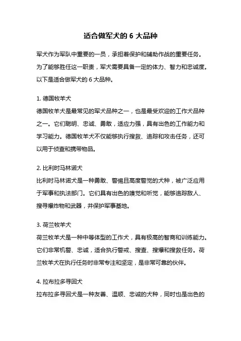 适合做军犬的6大品种