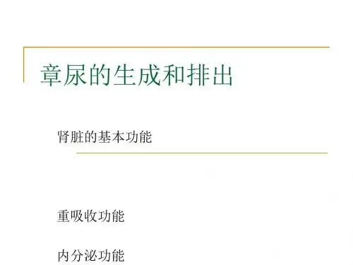 《生理学》.肾脏的排泄课件