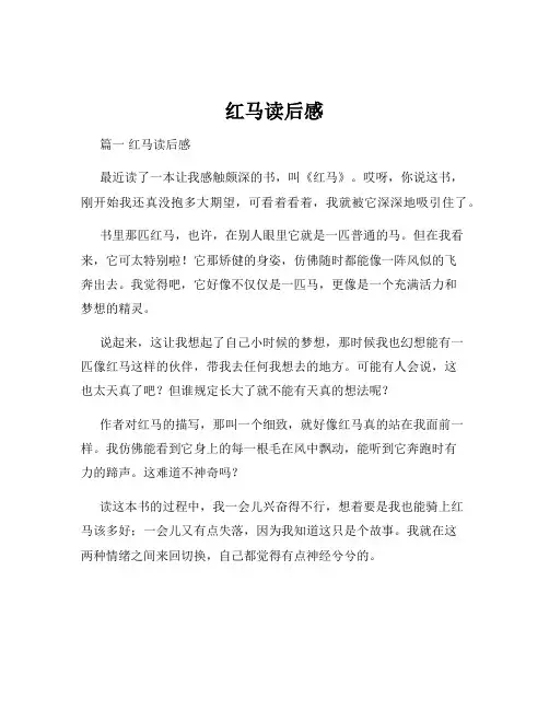 红马读后感