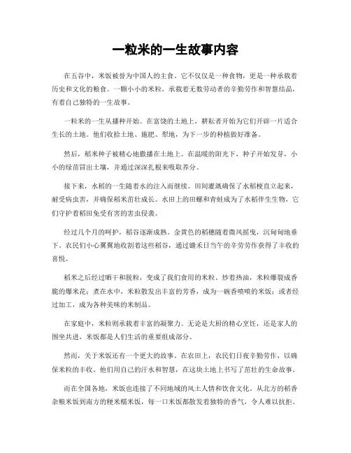 一粒米的一生故事内容