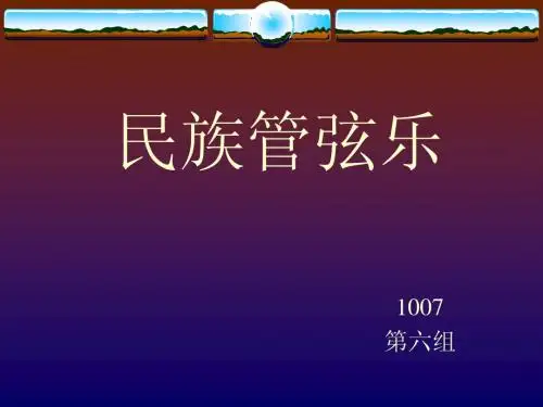 第六组  民族管弦乐dxw