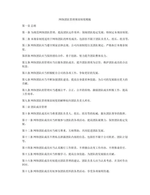 网络团队管理规章制度模板