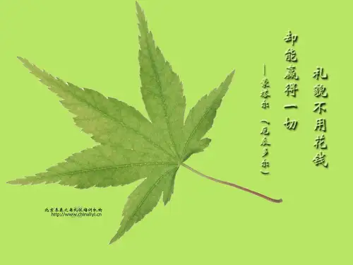 讲文明守礼仪培训教材PPT(25张)