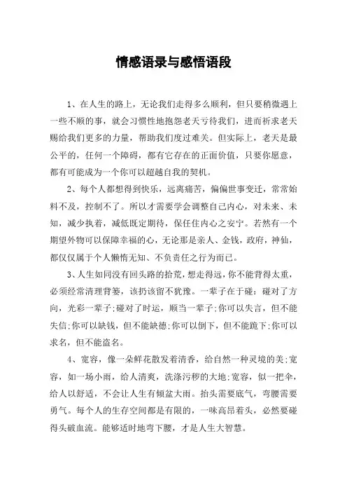 情感语录与感悟语段
