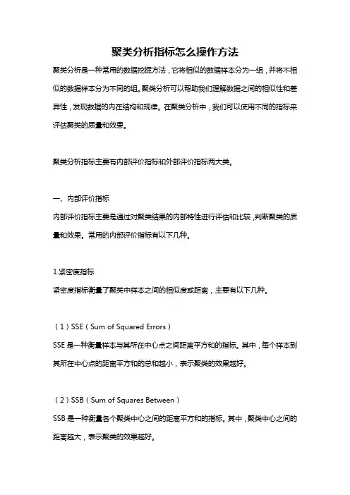聚类分析指标怎么操作方法