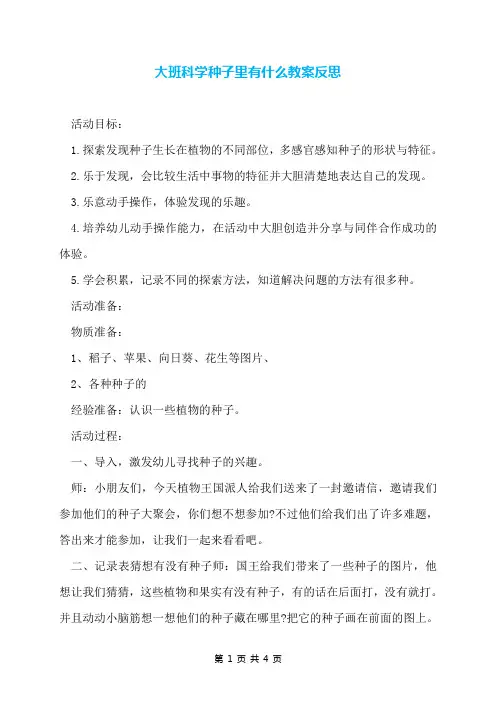 大班科学种子里有什么教案反思