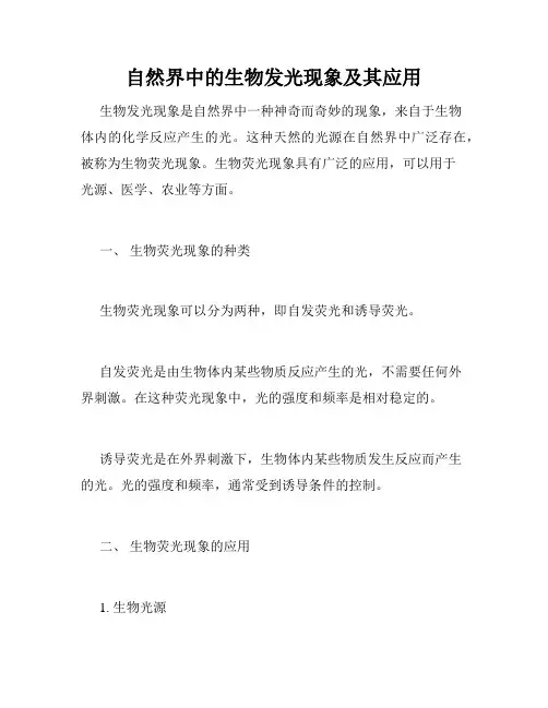 自然界中的生物发光现象及其应用