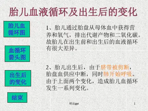 胎儿血液循环图ppt课件