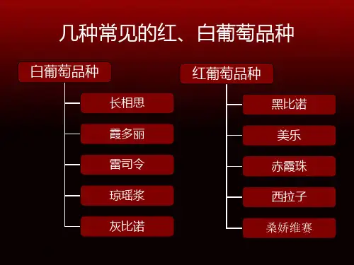 个性葡萄酒培训之品种教学幻灯片