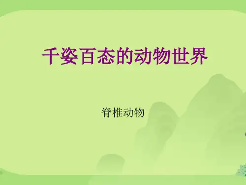 初中生物八上5. 14.2千姿百态的动物世界 课件  (共39张PPT)