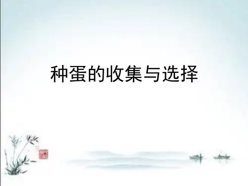 家禽孵化技术 种蛋的收集与选择