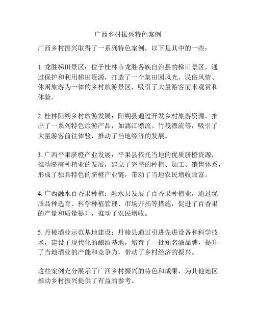 广西乡村振兴特色案例