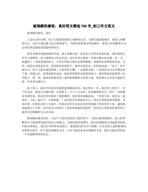 被理解的感觉,真好范文精选700字_初三作文范文