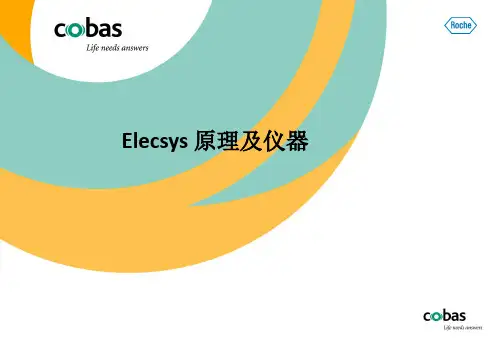 电化学发光原理及仪器PPT精选文档