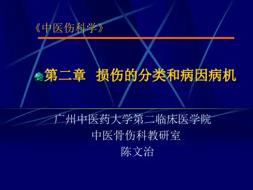 第二章 损伤的分类和病因病机(针推三年制)