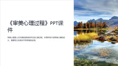 《审美心理过程》课件