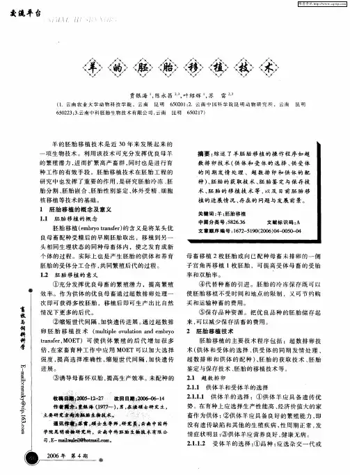 羊的胚胎移植技术
