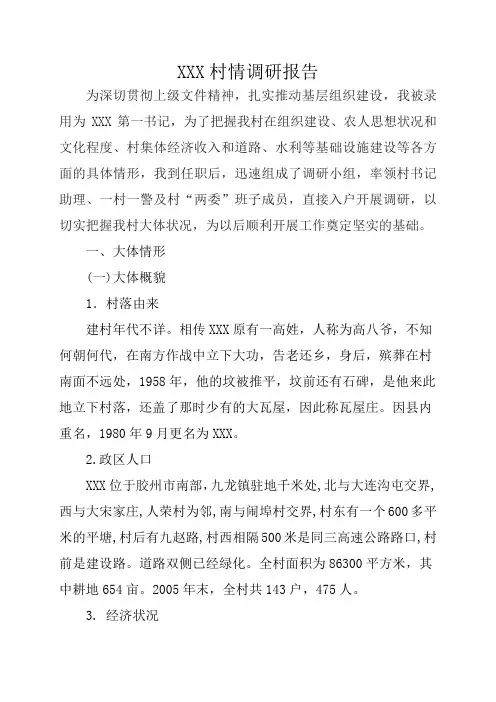 第一书记XXX村情调研报告