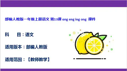 部编人教版一年级上册语文 第13课 ɑng eng ing ong  课件