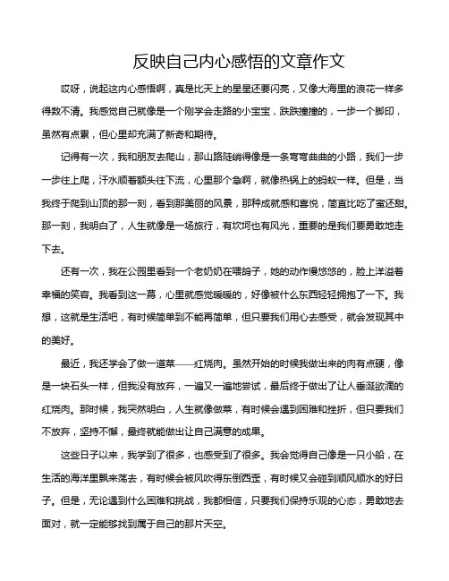 反映自己内心感悟的文章作文