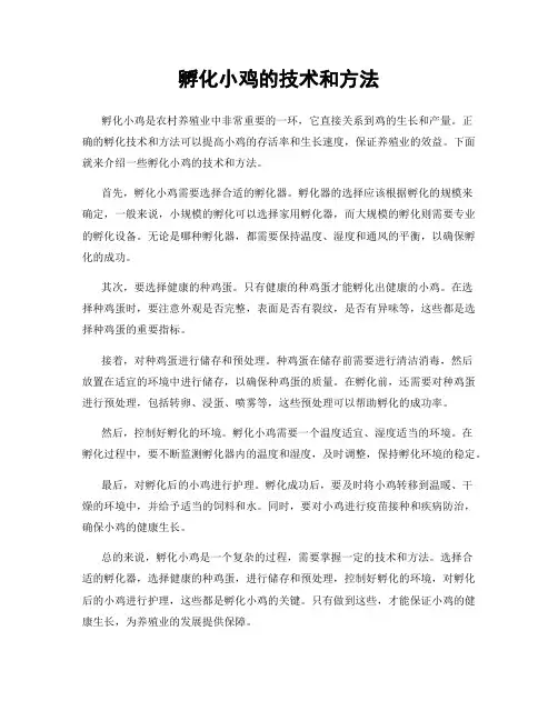孵化小鸡的技术和方法