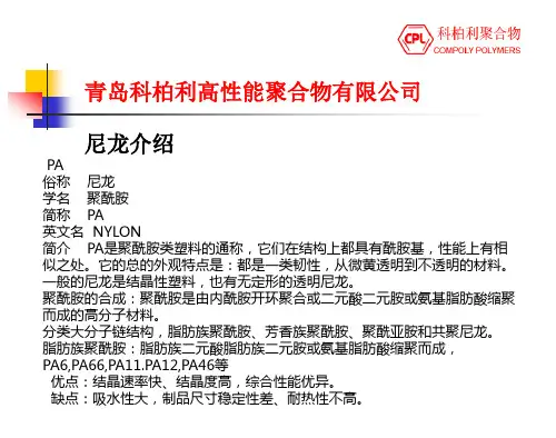 高温尼龙介绍
