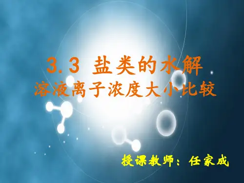 溶液中离子浓度大小比较PPT课件