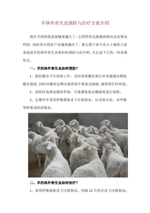 羊体外寄生虫预防与治疗方案介绍