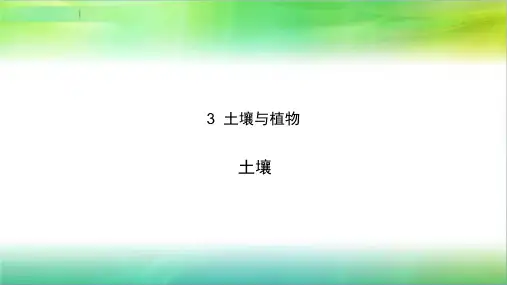 粤教版小学科学新版三年级下册科学3 土壤与植物 课件1