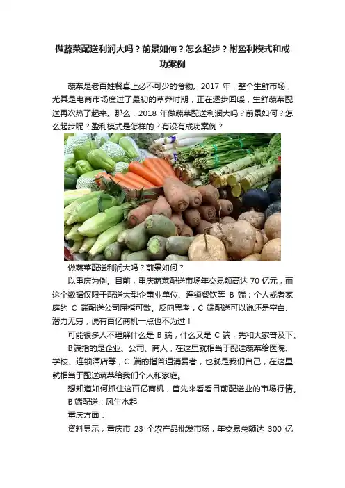 做蔬菜配送利润大吗？前景如何？怎么起步？附盈利模式和成功案例