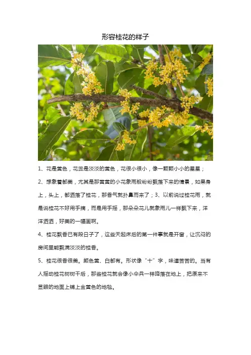 形容桂花的样子