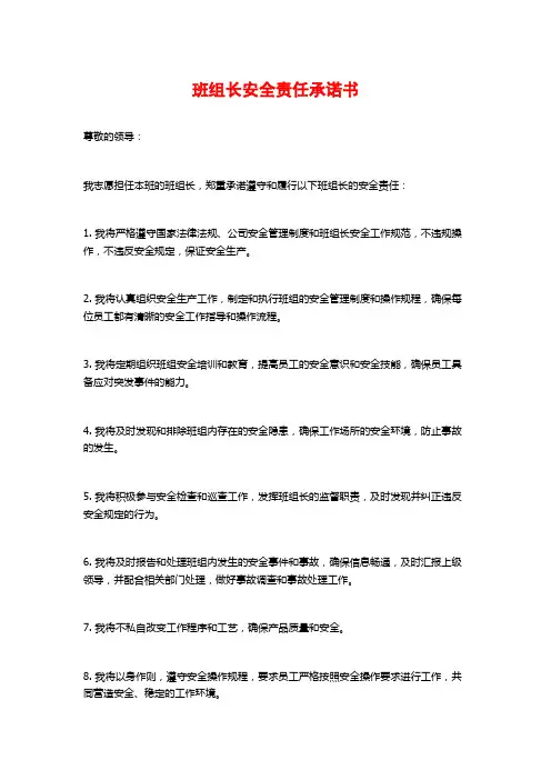 班组长安全责任承诺书