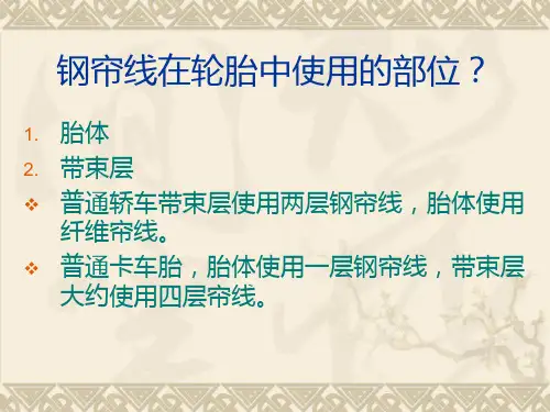 常见钢帘线质量问题(PPT53页)
