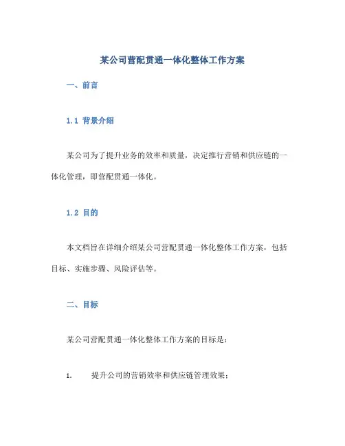某公司营配贯通一体化整体工作方案