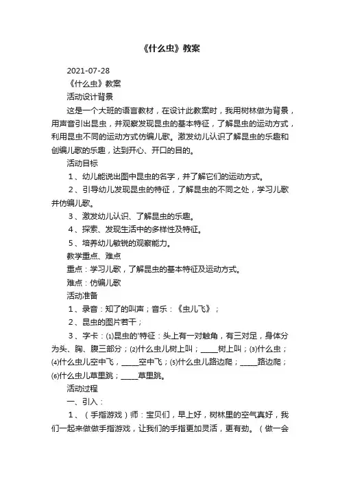 《什么虫》教案
