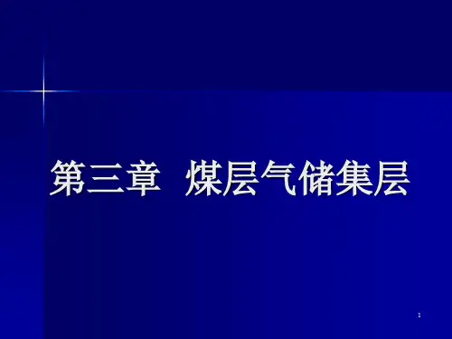 第五章  煤层气储集层