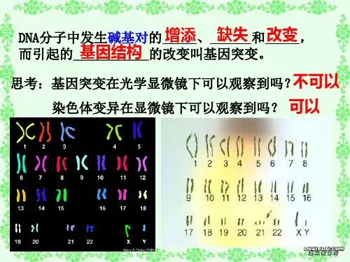 第五章 第二节染色体变异