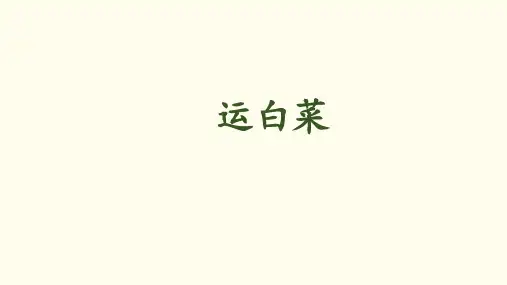 三年级上册数学课件-第三单元-第2课时 运白菜｜北师大版(2014秋) (共16张PPT)