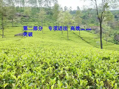 中考英语 第二部分 专题语法 高效突破 专项7 形容词课件