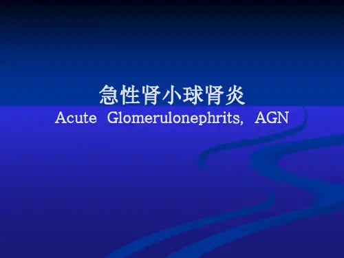 急性肾小球肾炎【35页】