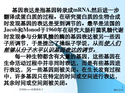 详细版——乳糖操纵子