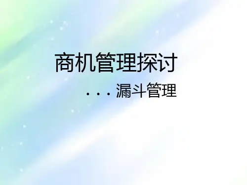 商机管理探讨ppt