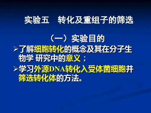 5.实验五转化及重组子的筛选