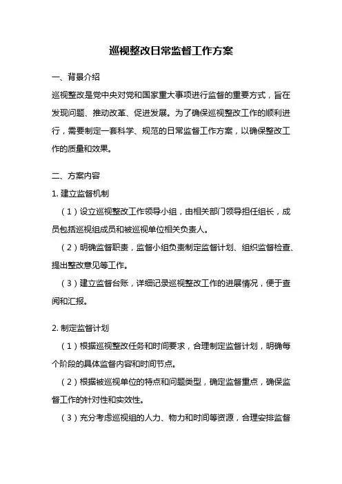 巡视整改日常监督工作方案